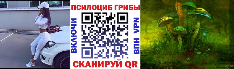 Купить где  Шебекино  Галлюциногенные грибы Cubensis 